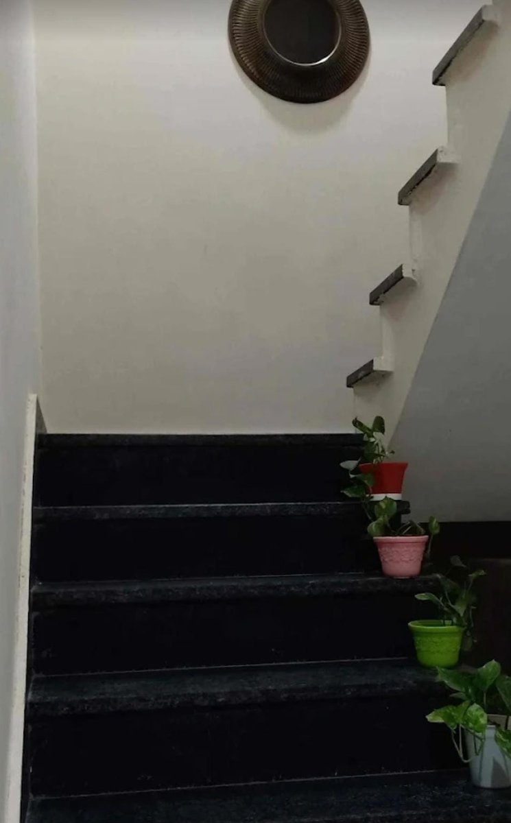 Granite Stairs with Plants